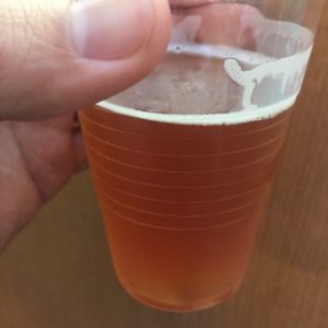 けやきひろば春のビール祭り2019　サンクトガーレン　ストロベリーミルクシェイクIPA